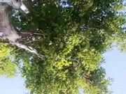 胆大网红主播西施猫大白天公园勾搭路人路边站立啪啪不够尽兴到车里继续玩呻吟超浪